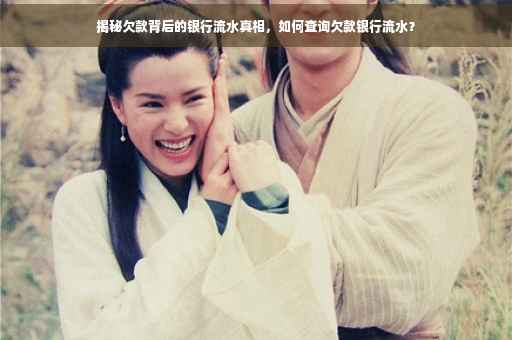 揭秘欠款背后的银行流水真相，如何查询欠款银行流水？