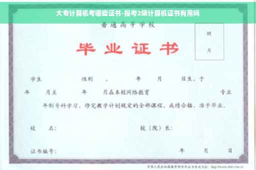 大专计算机考哪些证书-报考2级计算机证书有用吗