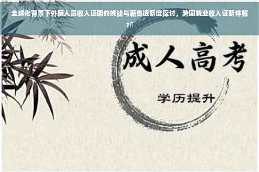 全球化背景下外籍人员收入证明的挑战与薪资透明度探讨，跨国就业收入证明详解?✨