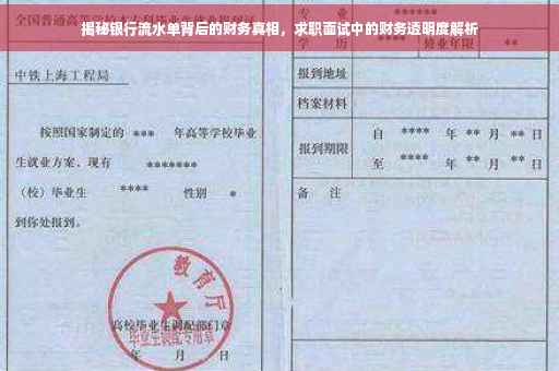 揭秘银行流水单背后的财务真相，求职面试中的财务透明度解析