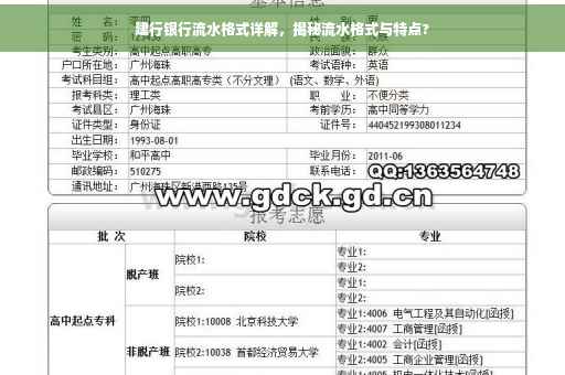 建行银行流水格式详解，揭秘流水格式与特点?
