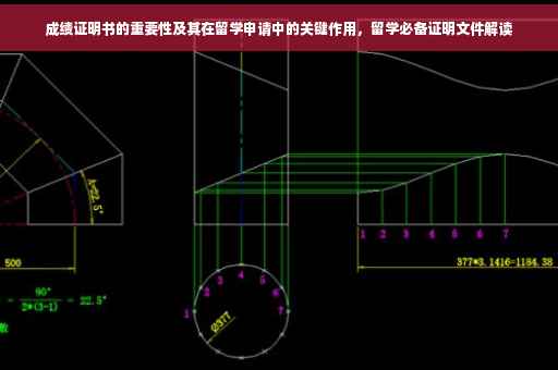 成绩证明书的重要性及其在留学申请中的关键作用,留学必备证明文件解读 成绩证明书的重要性及其在留学申请中的关键作用,留学必备证明文件解读