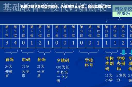 诊断证明书隐瞒病情揭秘，为健康正义发声，揭露真相的呼声