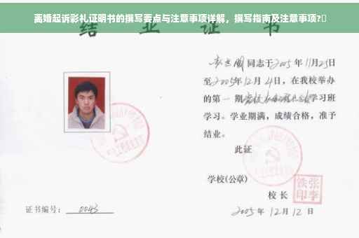离婚起诉彩礼证明书的撰写要点与注意事项详解，撰写指南及注意事项?✨