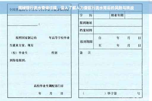 揭秘银行流水查询过程，深入了解人力查银行流水背后的风险与挑战