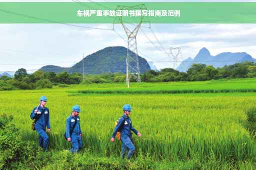 车祸严重事故证明书撰写指南及范例