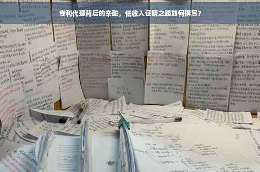 专利代理背后的辛酸，低收入证明之路如何撰写？