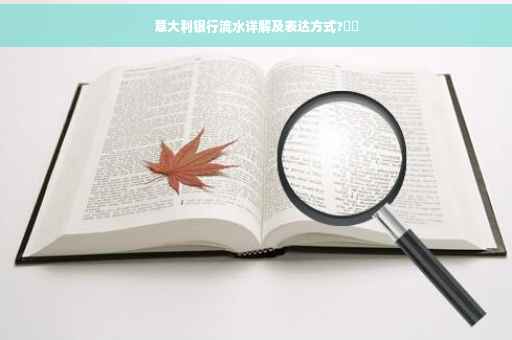 意大利银行流水详解及表达方式?⚡️