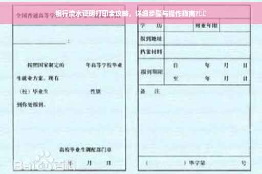 银行流水证明打印全攻略，详细步骤与操作指南?⚡️