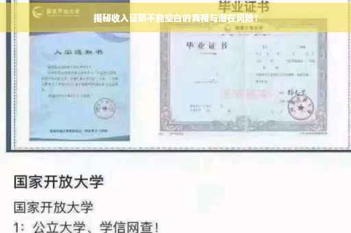 揭秘收入证明不能空白的真相与潜在风险！