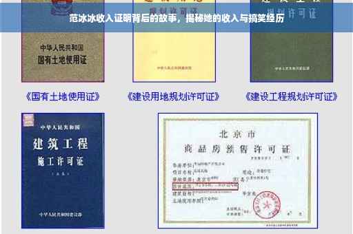 范冰冰收入证明背后的故事，揭秘她的收入与搞笑经历
