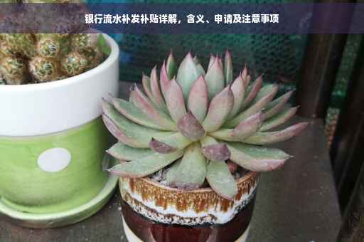 银行流水补发补贴详解，含义、申请及注意事项