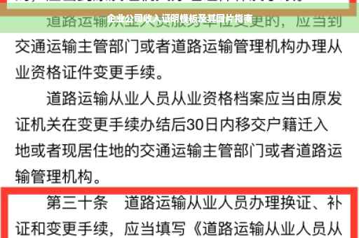 企业公司收入证明模板及其图片指南