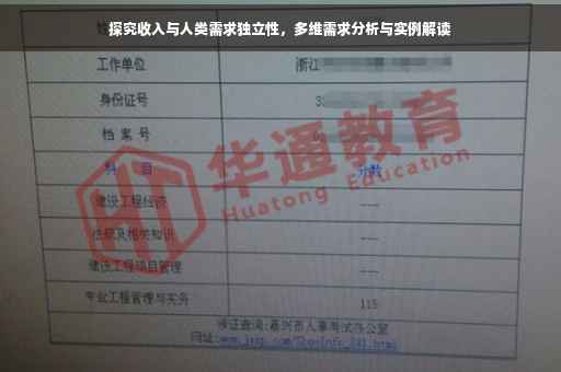 探究收入与人类需求独立性，多维需求分析与实例解读