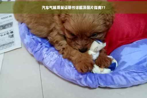汽车气罐质量证明书详解及图片指南??