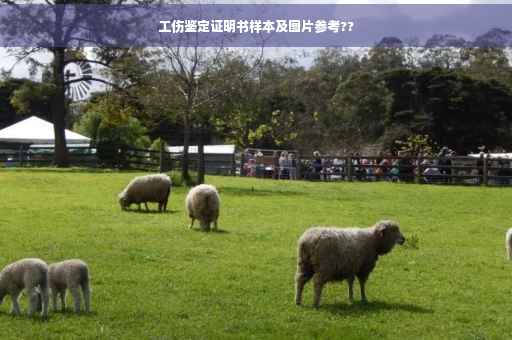 工伤鉴定证明书样本及图片参考??