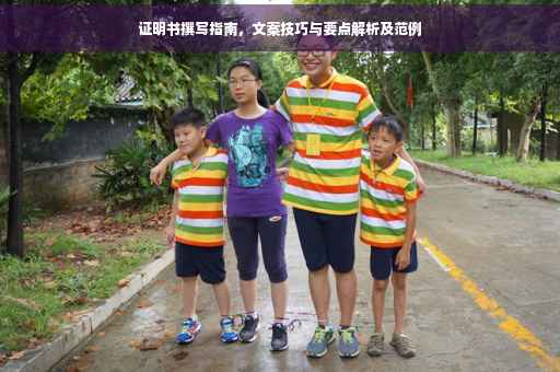 证明书撰写指南，文案技巧与要点解析及范例