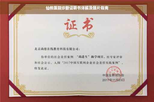 仙桃医院诊断证明书详解及图片指南