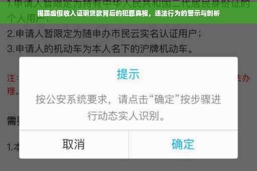 揭露虚假收入证明贷款背后的犯罪真相，违法行为的警示与剖析