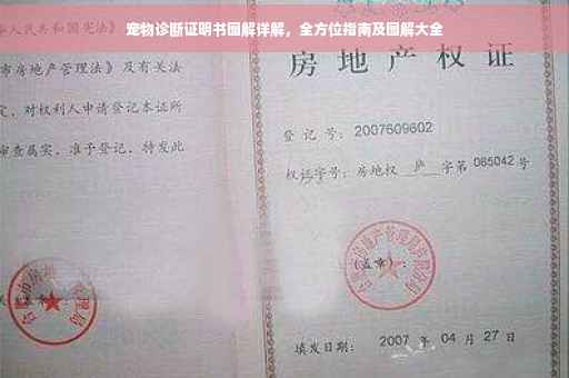 宠物诊断证明书图解详解，全方位指南及图解大全