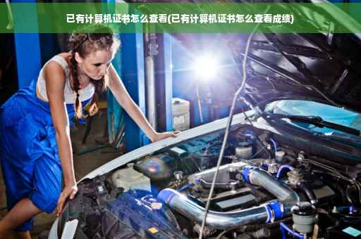已有计算机证书怎么查看(已有计算机证书怎么查看成绩)