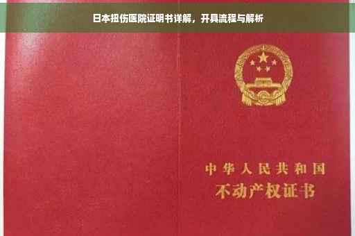 日本扭伤医院证明书详解，开具流程与解析