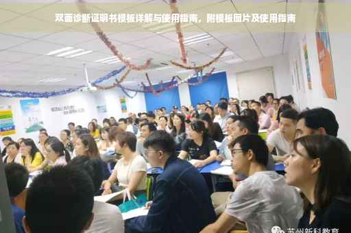 双面诊断证明书模板详解与使用指南，附模板图片及使用指南