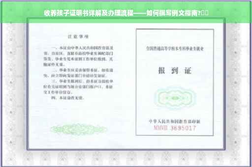 收养孩子证明书详解及办理流程——如何撰写例文指南?⚡️