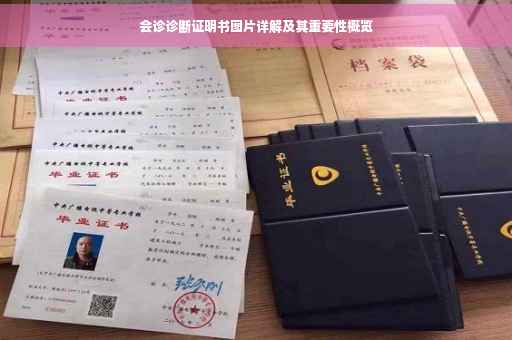 会诊诊断证明书图片详解及其重要性概览