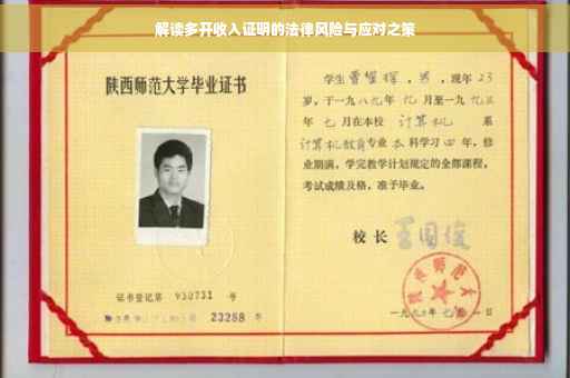 解读多开收入证明的法律风险与应对之策