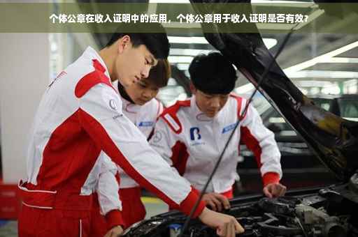 个体公章在收入证明中的应用，个体公章用于收入证明是否有效？