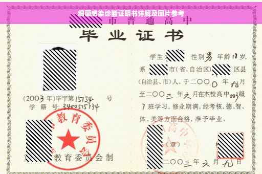细菌感染诊断证明书详解及图片参考