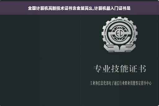 全国计算机高新技术证书含金量高么,计算机最入门证书是