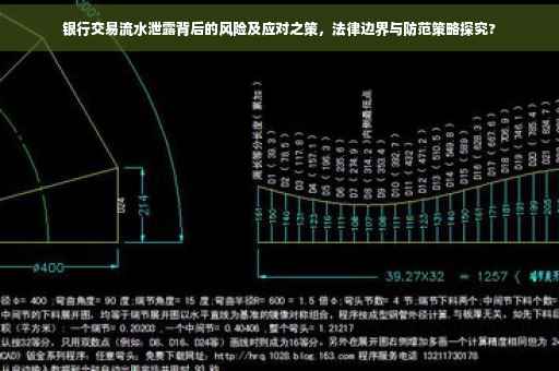 银行交易流水泄露背后的风险及应对之策，法律边界与防范策略探究?