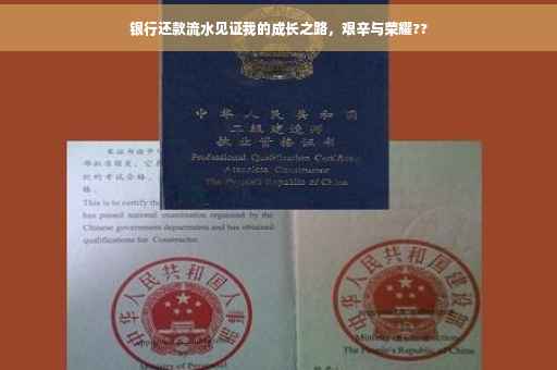 银行还款流水见证我的成长之路，艰辛与荣耀??