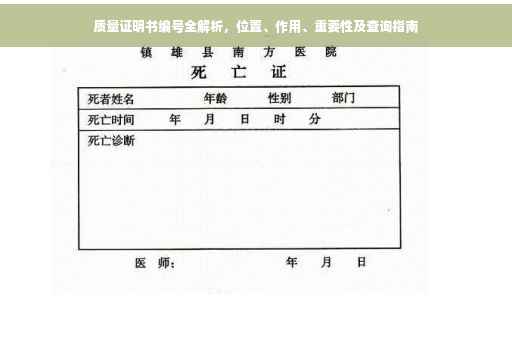 质量证明书编号全解析，位置、作用、重要性及查询指南