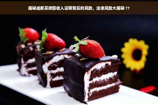 揭秘成都买房假收入证明背后的风险，法律风险大揭秘 ??