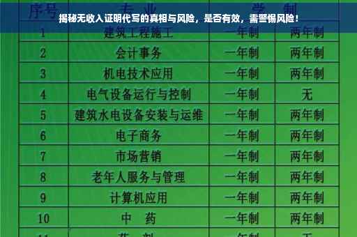 揭秘无收入证明代写的真相与风险，是否有效，需警惕风险！