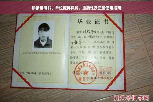 诊断证明书、单位原件详解，重要性及正确使用指南