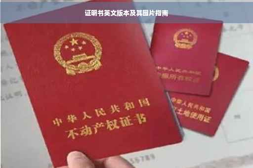 证明书英文版本及其图片指南
