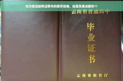代办签证纳税证明书的撰写指南，标题及要点解析??