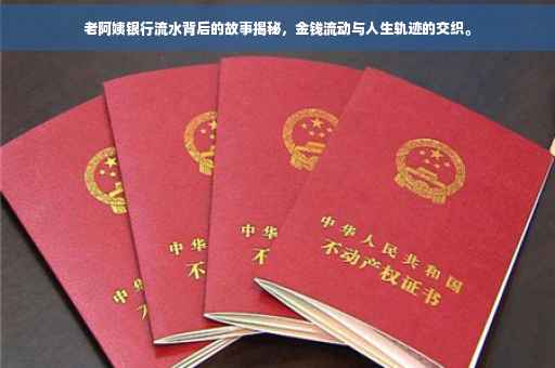 老阿姨银行流水背后的故事揭秘，金钱流动与人生轨迹的交织。