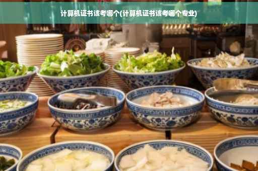 计算机证书该考哪个(计算机证书该考哪个专业)