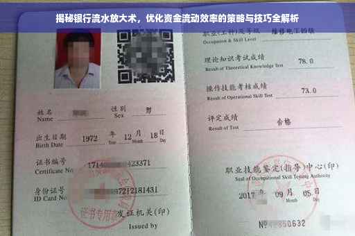 揭秘银行流水放大术，优化资金流动效率的策略与技巧全解析