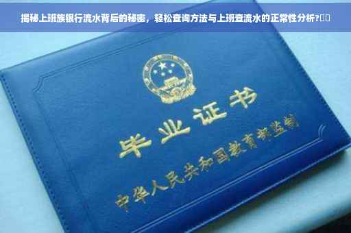 揭秘上班族银行流水背后的秘密，轻松查询方法与上班查流水的正常性分析?⚡️