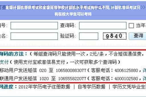 全国计算机等级考试和全国高等学校计算机水平考试有什么不同,计算机等级考试只有在校大学生可以考吗