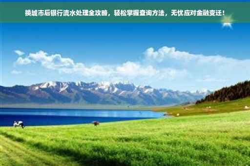 换城市后银行流水处理全攻略，轻松掌握查询方法，无忧应对金融变迁！