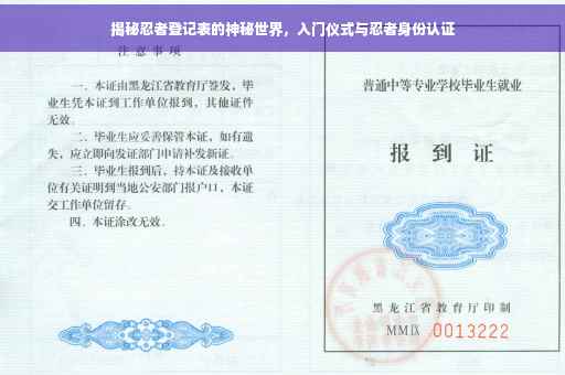 揭秘忍者登记表的神秘世界,入门仪式与忍者身份认证 揭秘忍者登记表的神秘世界,入门仪式与忍者身份认证