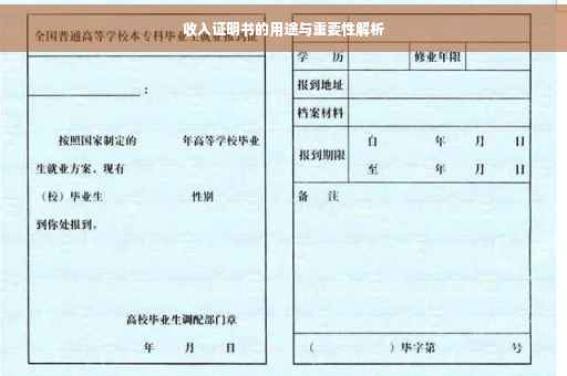 收入证明书的用途与重要性解析