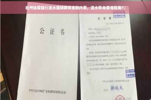 杭州法国银行流水揭秘跨境金融内幕，流水账单查询指南?✨
